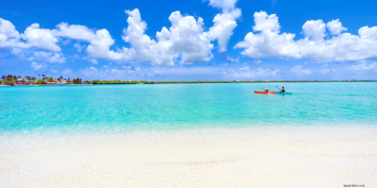 14 Cara Menyelam ke Kepulauan Cayman 
